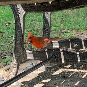 Meet your Posher, Rodney